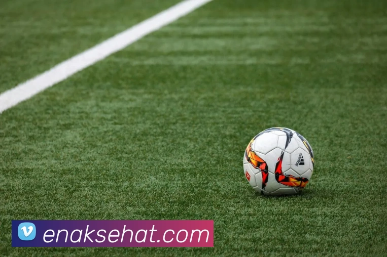 mksports官方网站平台生态图