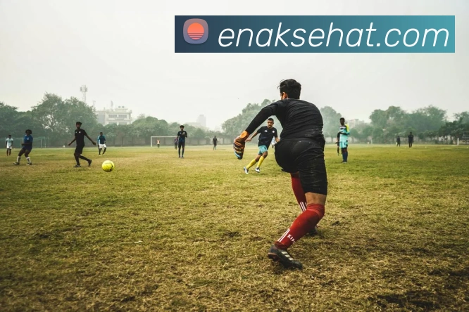 mksports官方网站APP 封面图